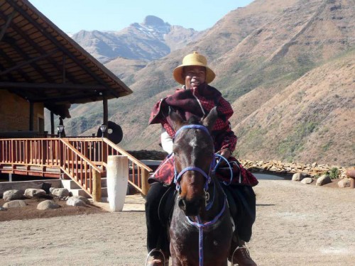 Basotho pony and rider at Maliba Lodge, Lesotho.